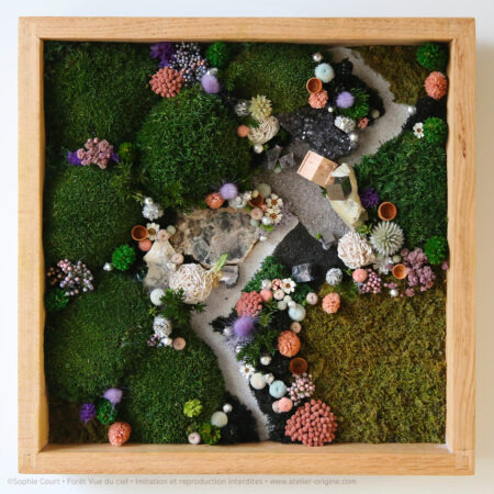 tableau-végétal-foret-vue-du-ciel-origine-atelier-floral-sophie-court3