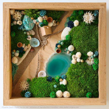 tableau-végétal-foret-vue-du-ciel-origine-atelier-floral-sophie-court3