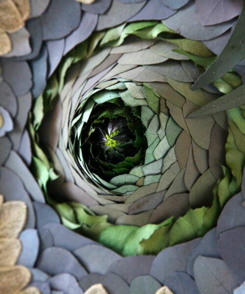 Tableau-végétal-feuilles-stabilisées-origine-atelier-floral-eruption-sophie-court