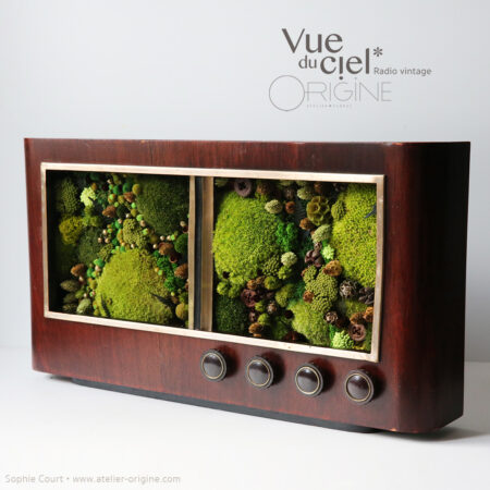 tableau-végétal-vintage-radio-ancienne-foret-vue-du-ciel-origine-atelier-floral
