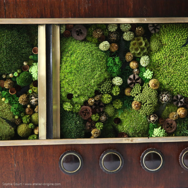 tableau-végétal-vintage-radio-ancienne-foret-vue-du-ciel-origine-atelier-floral