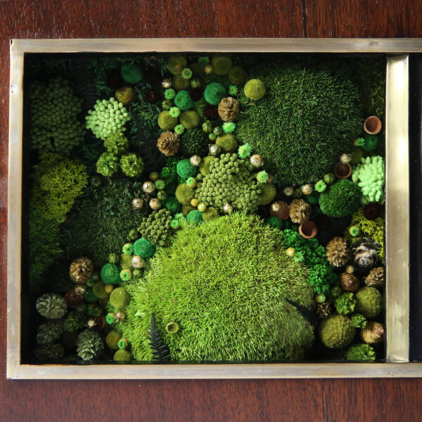 tableau-végétal-vintage-radio-ancienne-foret-vue-du-ciel-origine-atelier-floral