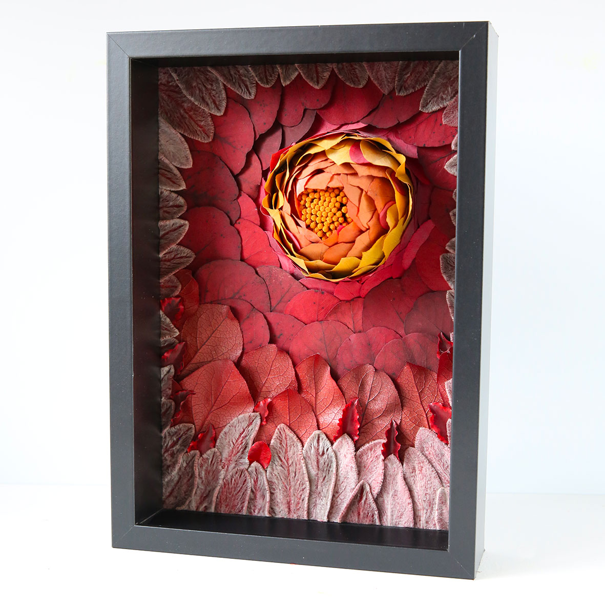 promotions soldes fleurs séchées