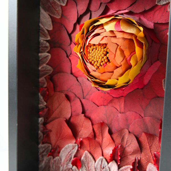 promotions soldes fleurs séchées