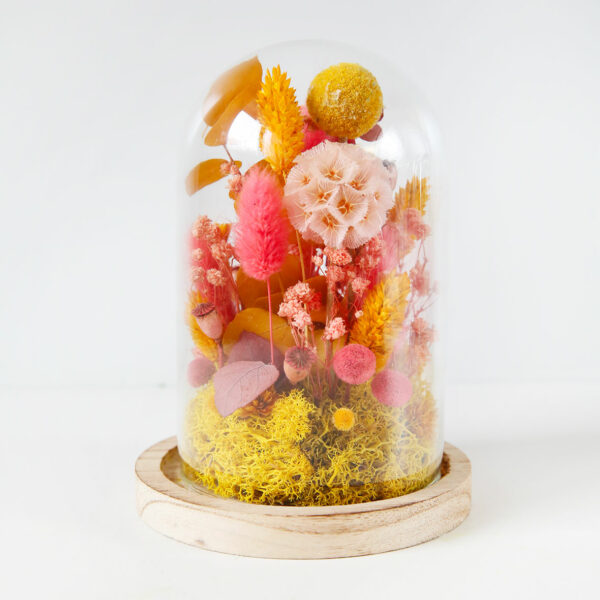 promotions soldes fleurs séchées