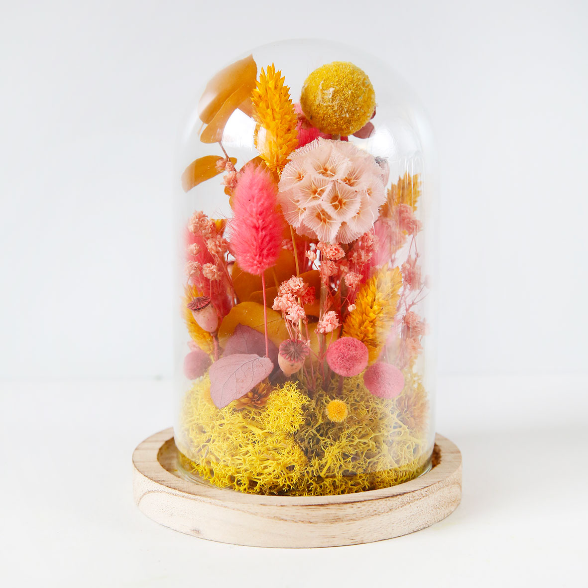 promotions soldes fleurs séchées