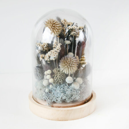 promotions soldes fleurs séchées