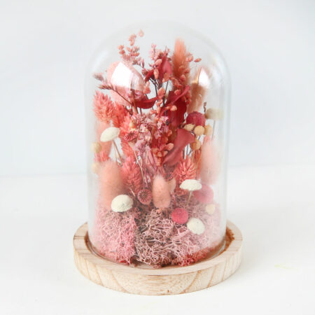 promotions soldes fleurs séchées