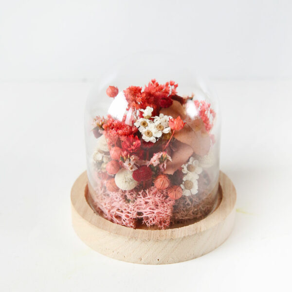 promotions soldes fleurs séchées