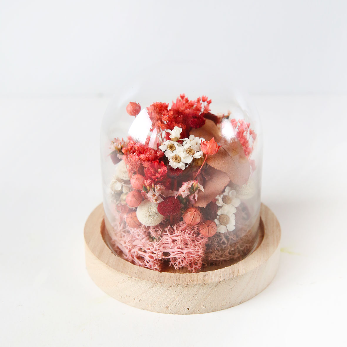 promotions soldes fleurs séchées