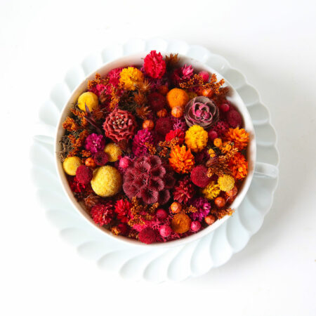 promotions soldes fleurs séchées