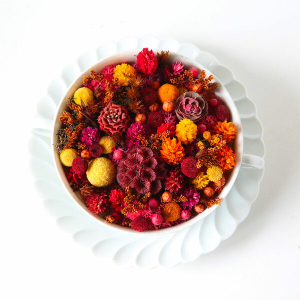 promotions soldes fleurs séchées