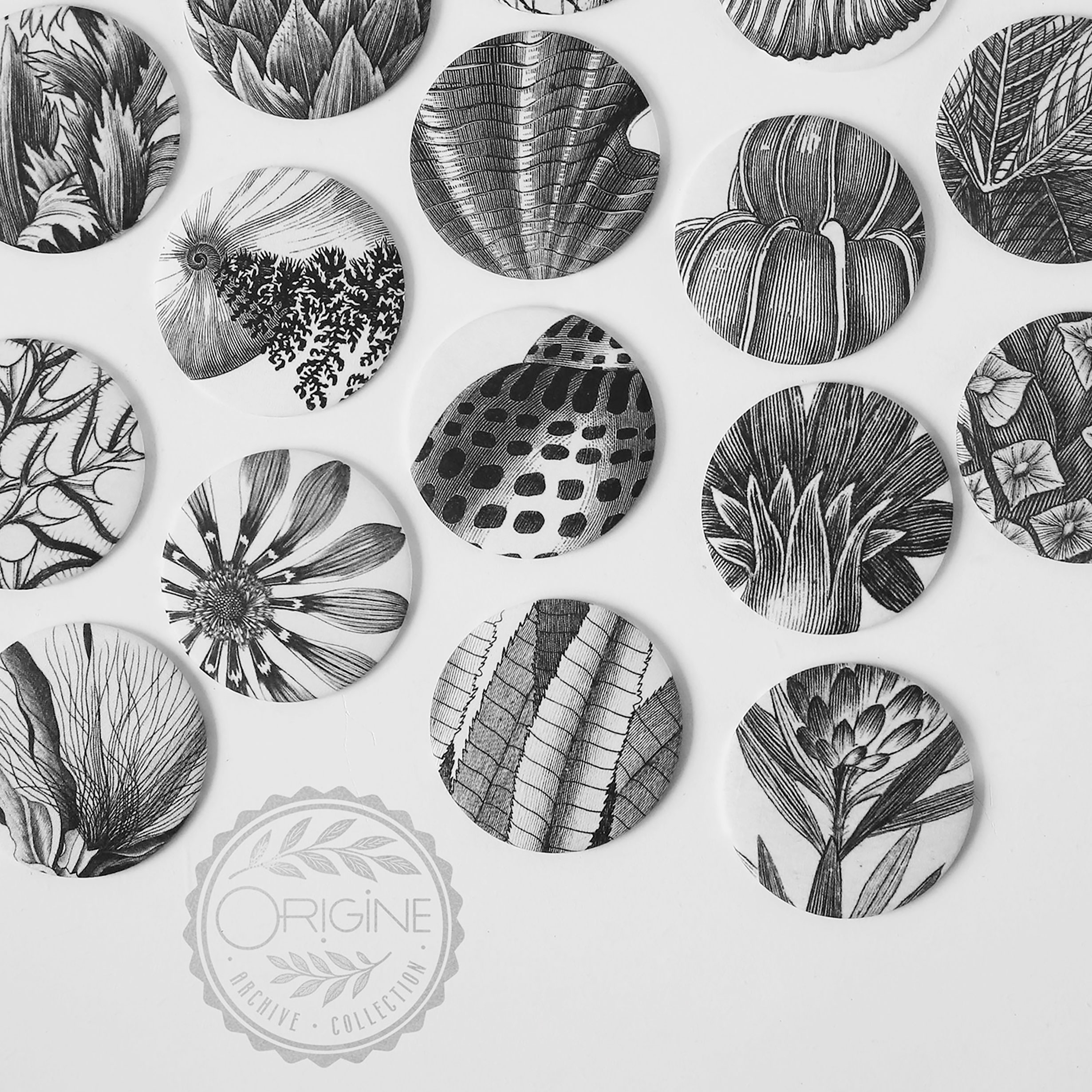 miroirs-magnets-bijoux-muraux-planche-botanique-coquillage-origine-archive-collection-sophie-court.8B