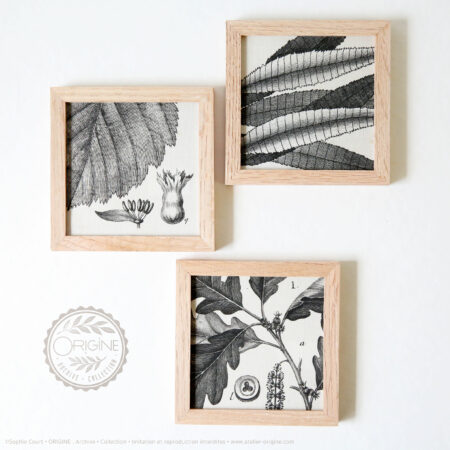 trio-de-cadres-en-chene-impression-textile-botanique-origine-archive-collection-sophie-court