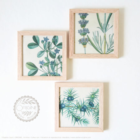trio-de-cadres-en-chene-impression-textile-botanique-origine-archive-collection-sophie-court
