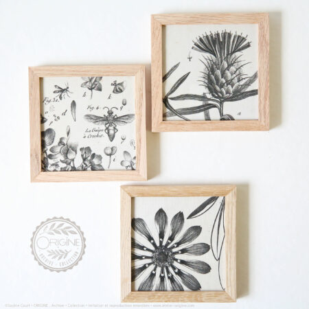 trio-de-cadres-en-chene-impression-textile-botanique-origine-archive-collection-sophie-court