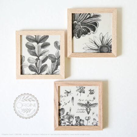 trio-de-cadres-en-chene-impression-textile-botanique-origine-archive-collection-sophie-court