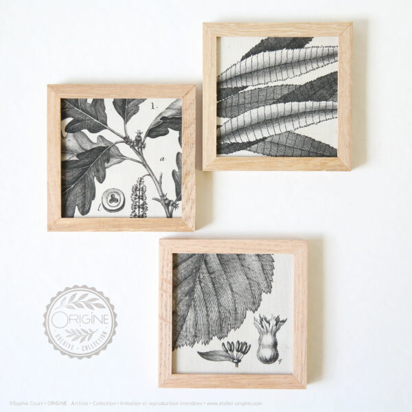 trio-de-cadres-en-chene-impression-textile-botanique-origine-archive-collection-sophie-court