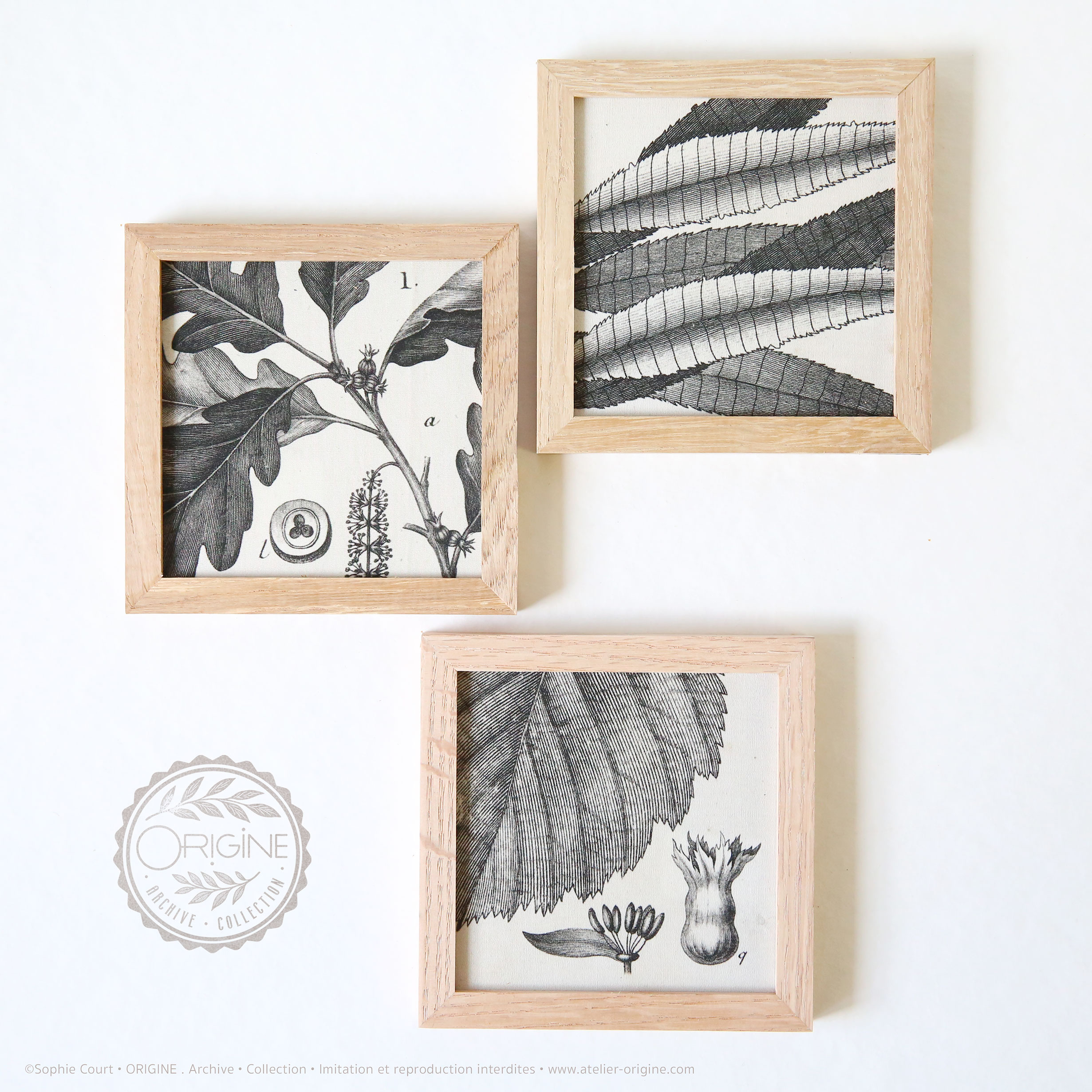trio-de-cadres-en-chene-impression-textile-botanique-origine-archive-collection-sophie-court