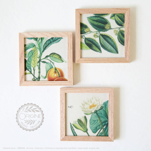 trio-de-cadres-en-chene-impression-textile-botanique-origine-archive-collection-sophie-court