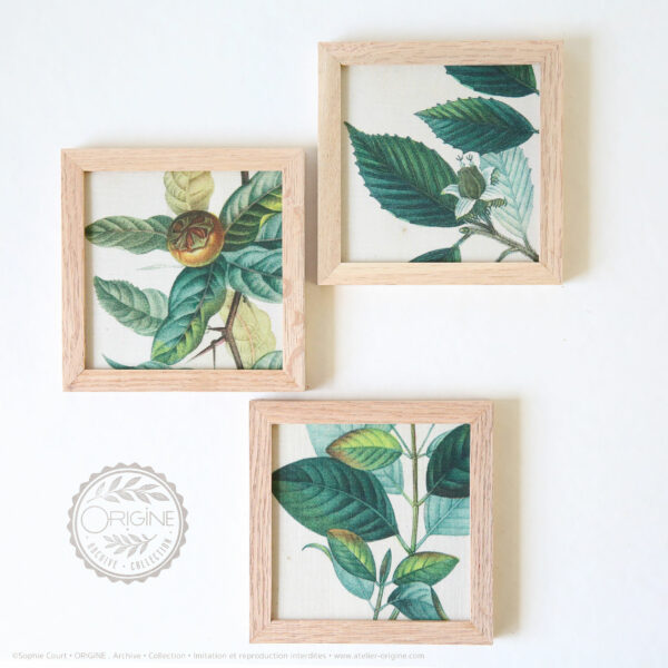 trio-de-cadres-en-chene-impression-textile-botanique-origine-archive-collection-sophie-court