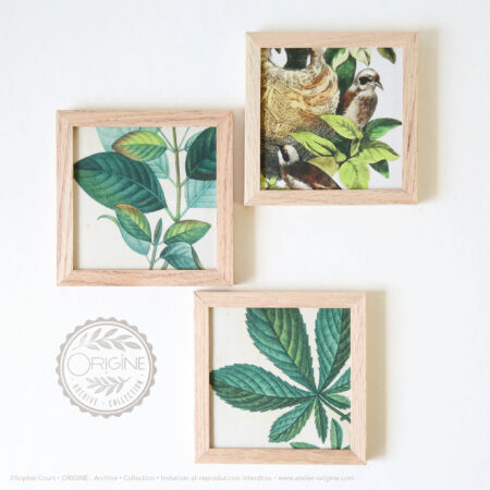 trio-de-cadres-en-chene-impression-textile-botanique-origine-archive-collection-sophie-court