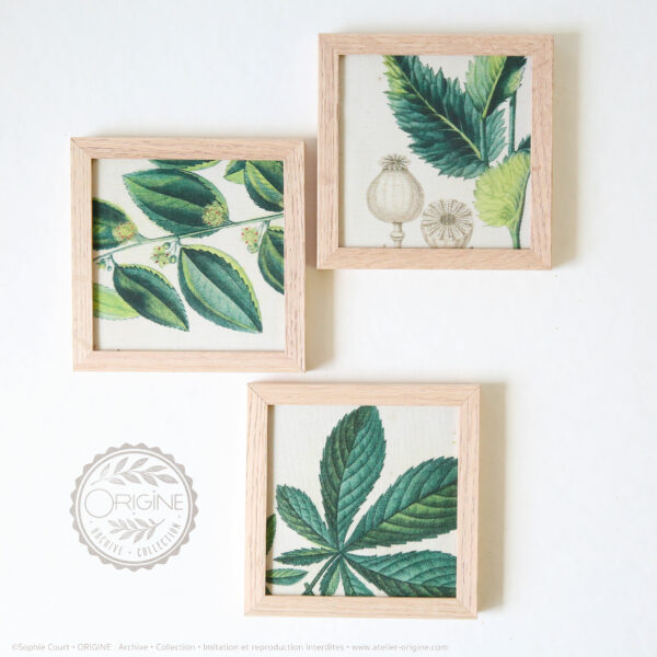 trio-de-cadres-en-chene-impression-textile-botanique-origine-archive-collection-sophie-court