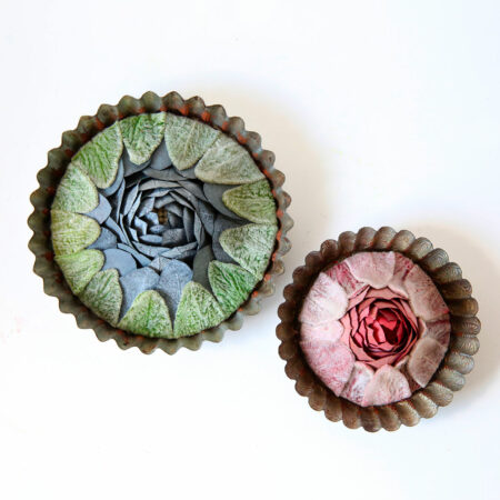 Éruption •  Cadre ancien Tartelette • DUO