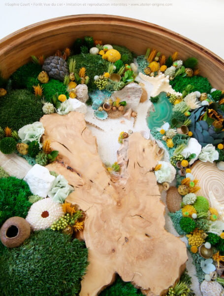 1mobilier-végétal-foret-vue-du-ciel-origine-atelier-floral-sophie-court-I-know-place