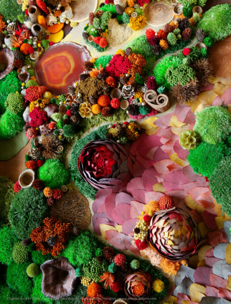 10foret-vue-du-ciel-origine-atelier-floral-sophie-court-50X120cm