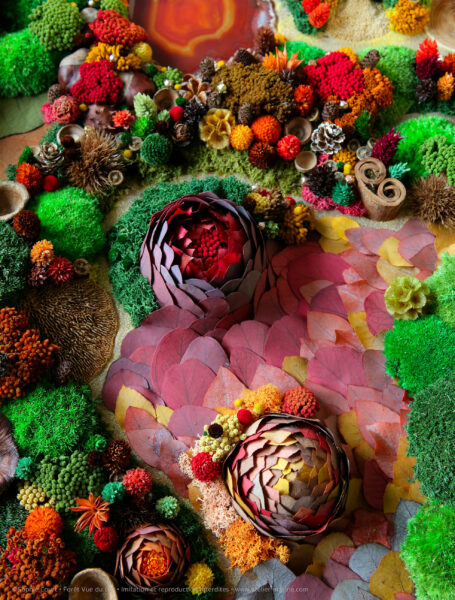 10foret-vue-du-ciel-origine-atelier-floral-sophie-court-50X120cm