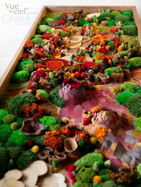 10foret-vue-du-ciel-origine-atelier-floral-sophie-court-50X120cm