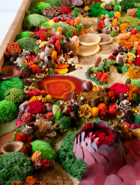 10foret-vue-du-ciel-origine-atelier-floral-sophie-court-50X120cm