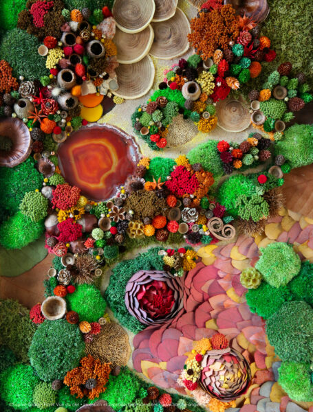 10foret-vue-du-ciel-origine-atelier-floral-sophie-court-50X120cm