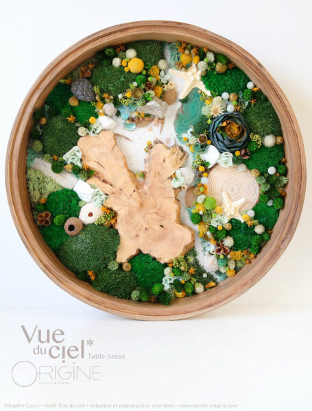 1mobilier-végétal-foret-vue-du-ciel-origine-atelier-floral-sophie-court-I-know-place