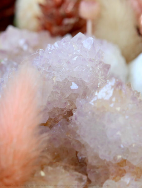 foret-vue-du-ciel-origine-atelier-floral-sophie-court-jardin-bucolique2