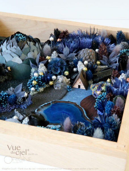 foret-vue-du-ciel-origine-atelier-floral-sophie-court----nuit-de-pleine-lune-