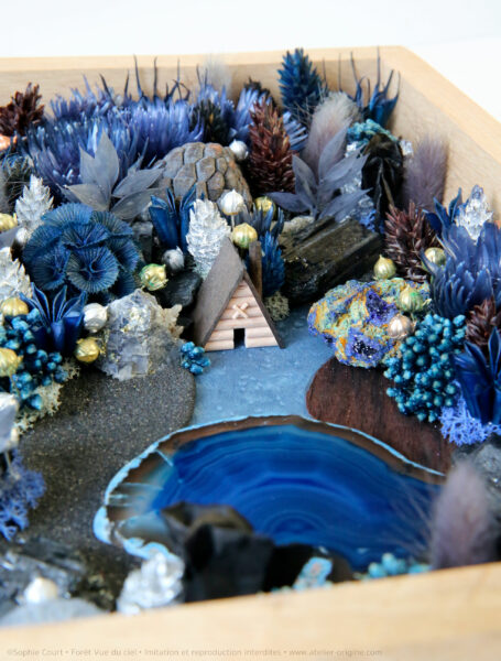 foret-vue-du-ciel-origine-atelier-floral-sophie-court----nuit-de-pleine-lune-