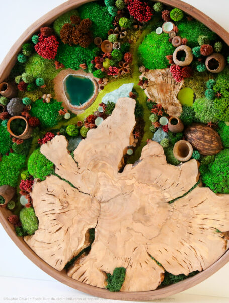tableau-végétal-rond-de-noyer-olivier-foret-vue-du-ciel-sophie-court-origine-atelier-floral