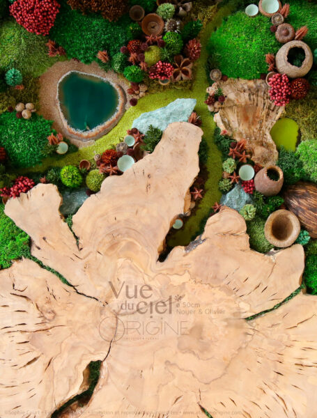 tableau-végétal-rond-de-noyer-olivier-foret-vue-du-ciel-sophie-court-origine-atelier-floral