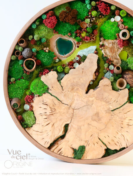 tableau-végétal-rond-de-noyer-olivier-foret-vue-du-ciel-sophie-court-origine-atelier-floral