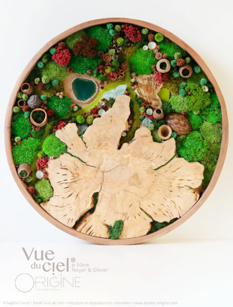 tableau-végétal-rond-de-noyer-olivier-foret-vue-du-ciel-sophie-court-origine-atelier-floral