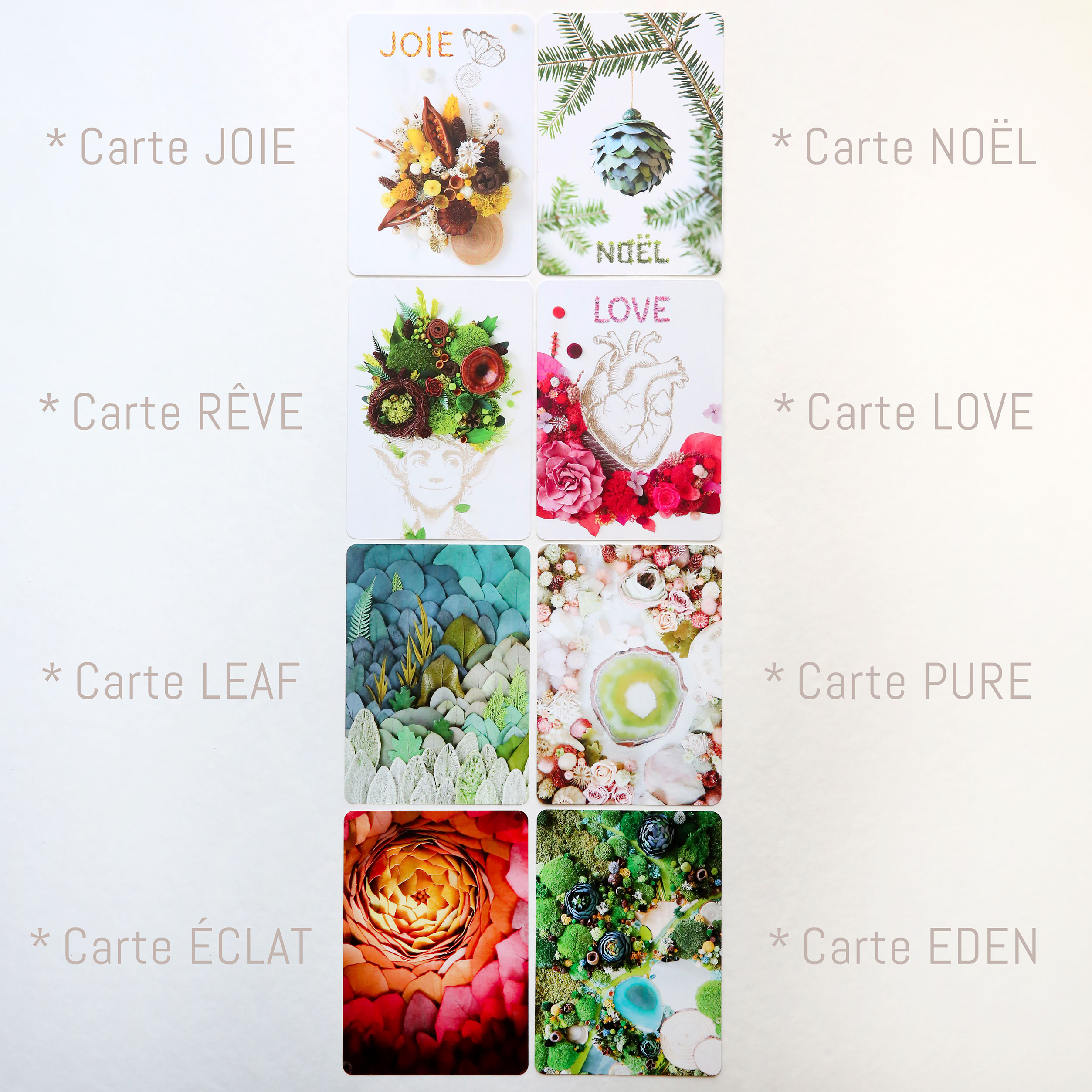 NOMS-CARTEs-postales-couleurs-origine-atelier-floral