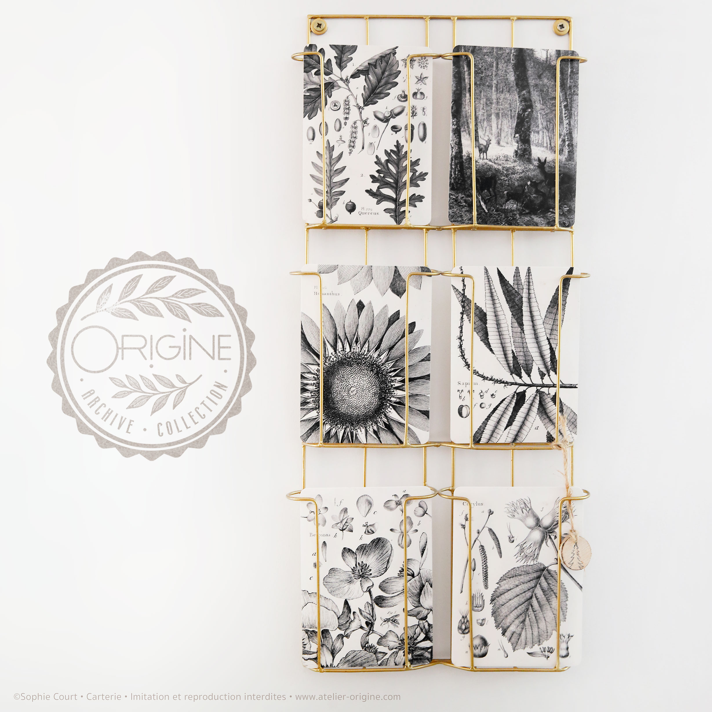 Cartes postales • ORIGINE ARCHIVE COLLECTION
