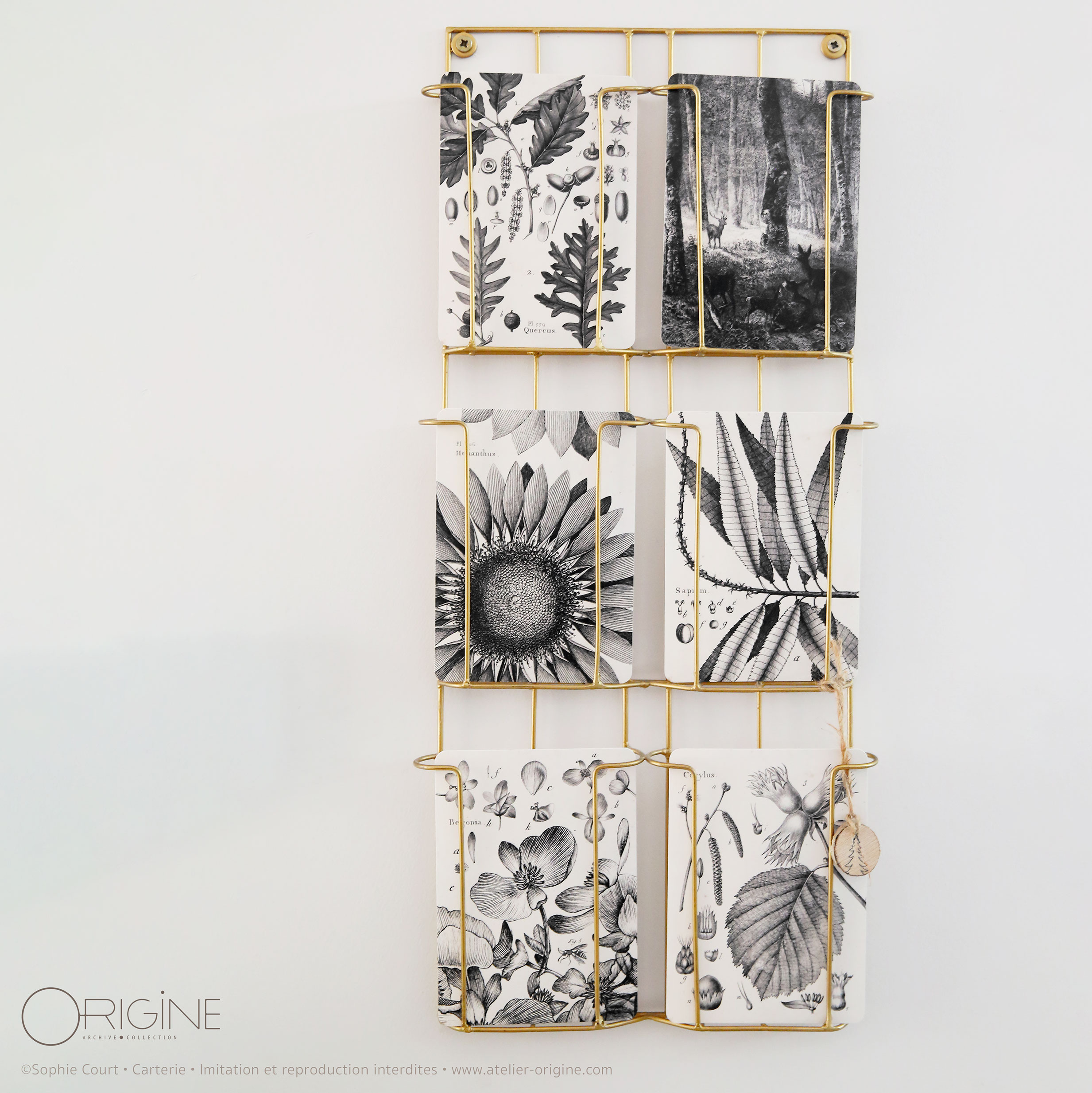 planche-carte-postale-origine-archive-collection-noir-et-blanc-1