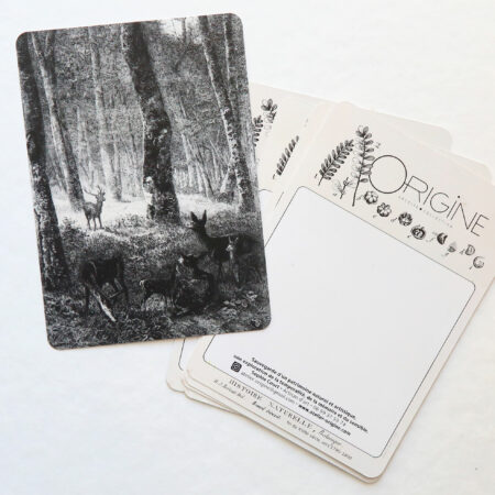 planche-carte-postale-origine-archive-collection-noir-et-blanc-3