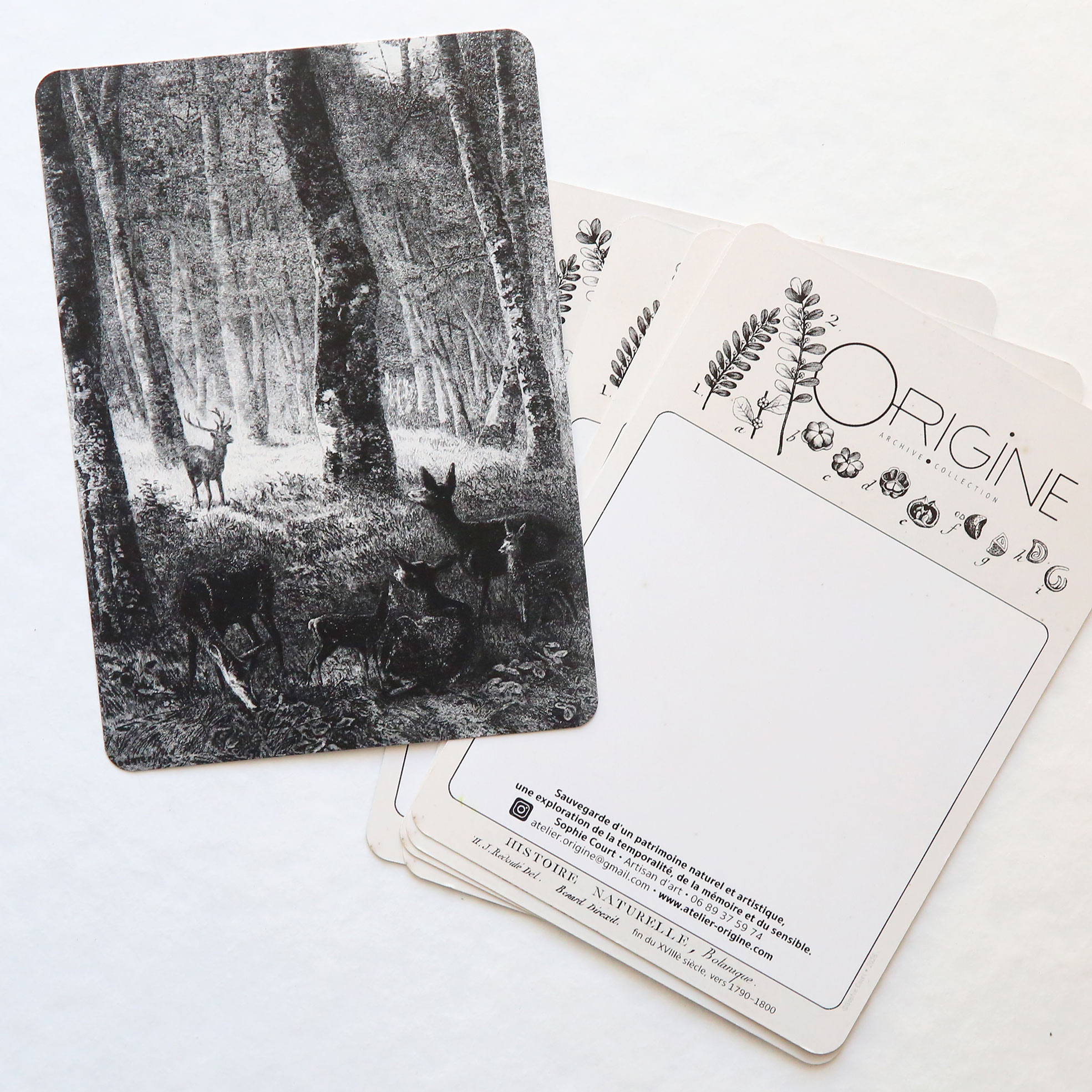 planche-carte-postale-origine-archive-collection-noir-et-blanc-3