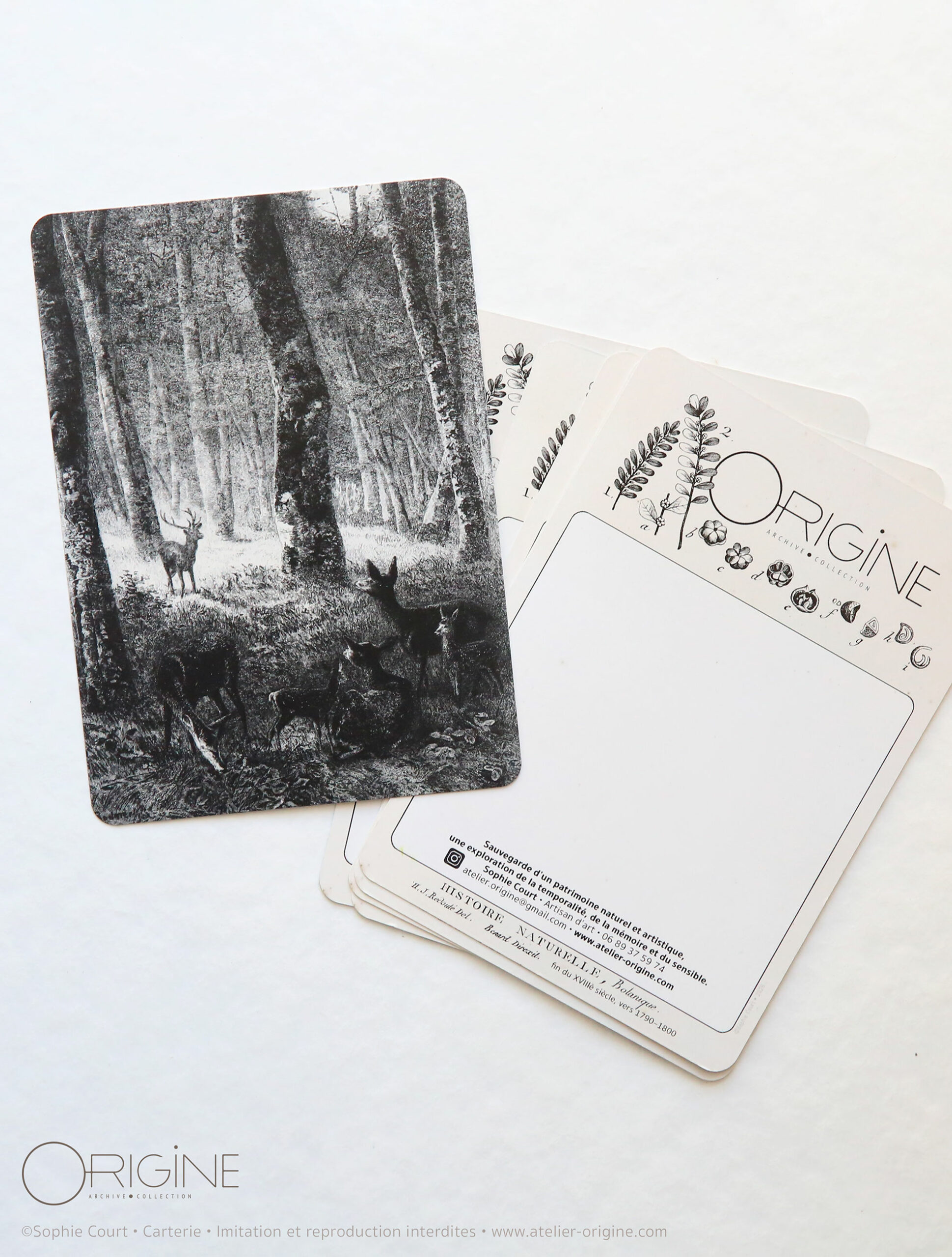 planche-carte-postale-origine-archive-collection-noir-et-blanc-3
