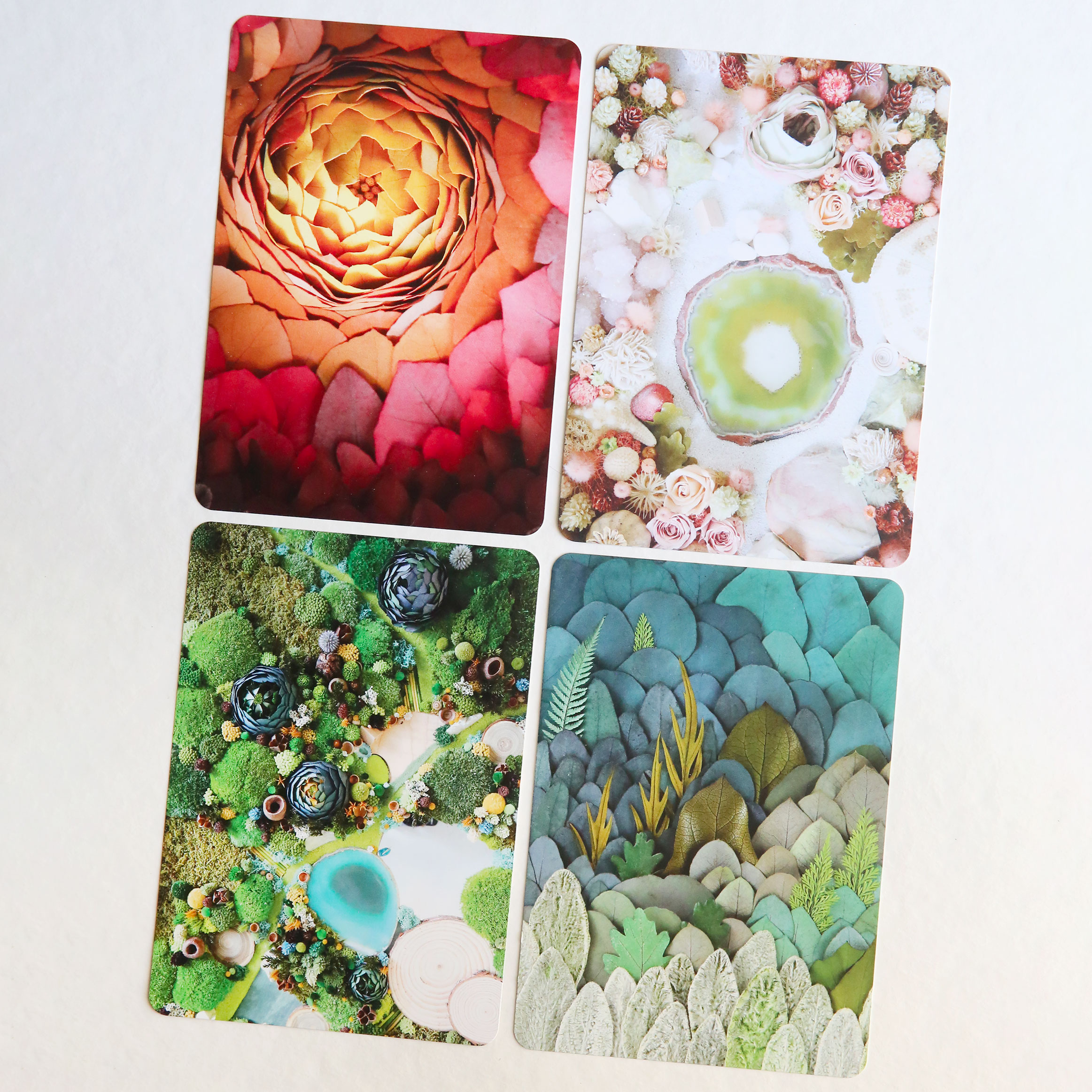 Cartes postales • ORIGINE ATELIER FLORAL – Image 2
