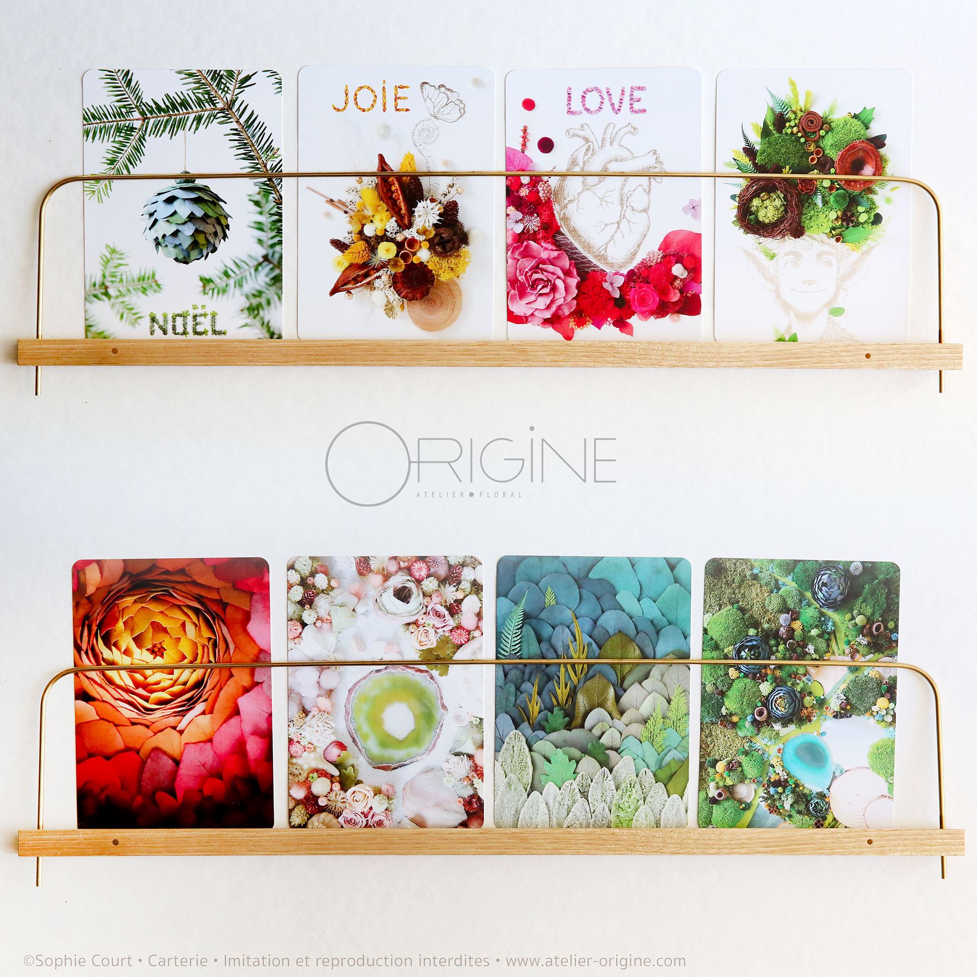 planche-carte-postale-origine-atelier-floral-couleur-7